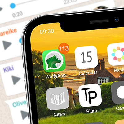 113 Nachrichten (MP3)